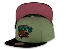 Load image into Gallery viewer, Mitchell & Ness Snapback Vancouver Grizzlies Spurs HWC Pistachio Crown Black Visor Pink UV Easter