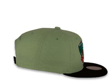 Load image into Gallery viewer, Mitchell & Ness Snapback Vancouver Grizzlies Spurs HWC Pistachio Crown Black Visor Pink UV Easter