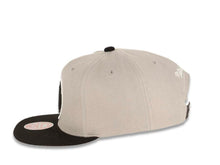Load image into Gallery viewer, Brooklyn Nets Mitchell & Ness NBA Snapback Cap Hat Gray Crown Black Visor Team Color Logo