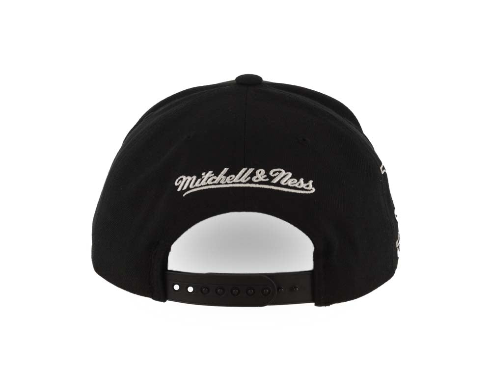 Mighty Ducks Mitchell & Ness NHL Adjustable Panda Pro Vintage Cap