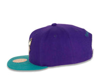 Load image into Gallery viewer, Charlotte Hornets Mitchell &amp; Ness NBA Snapback Cap Hat Purple Crown Teal Visor Team Color Logo
