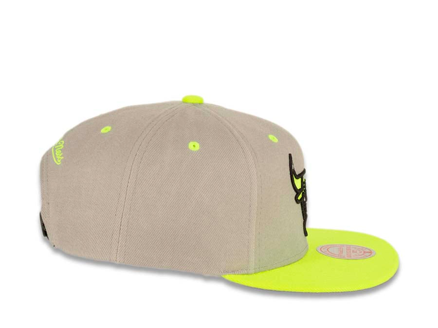Chicago Bulls Mitchell & Ness NBA Snapback Cap Hat Gray Crown Green Vi