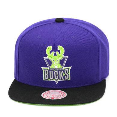 Milwaukee Bucks Mitchell & Ness NBA Reload 2.0 Snapback Cap Hat Purple Crown Black Visor Team Color Logo